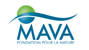 MAVA Foundation